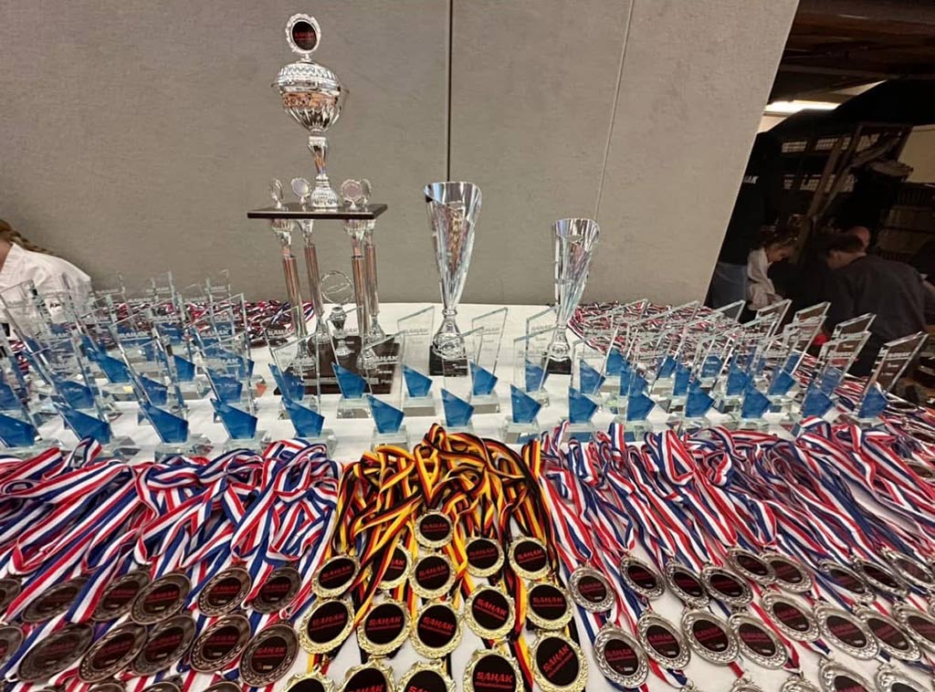Eine Sammlung von Pokalen, Medaillen und Bändern auf einem Tisch.